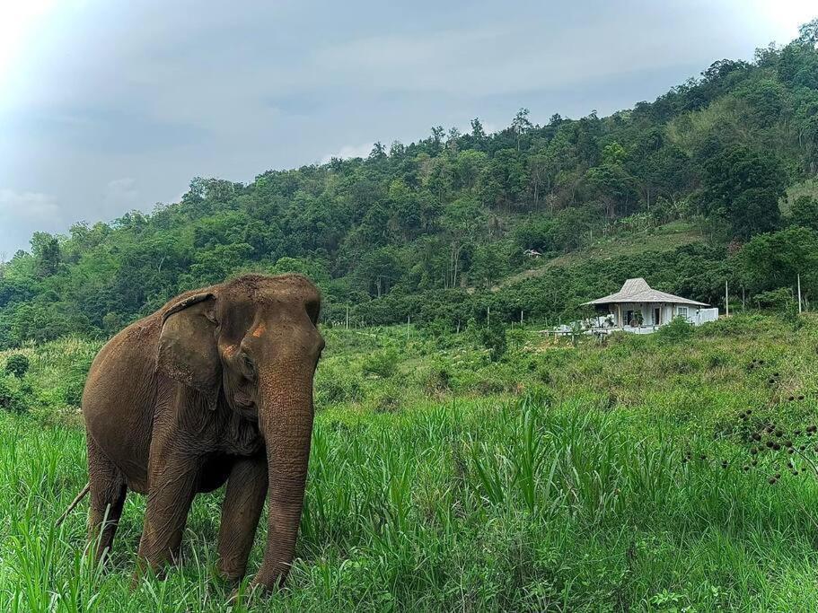 Elephantpoolvilla Maetang Chiangmai Ban Muang Kut Ngoại thất bức ảnh